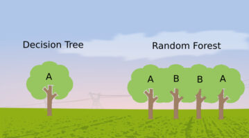 Decision Trees And Random Forests, All You Need To Know
